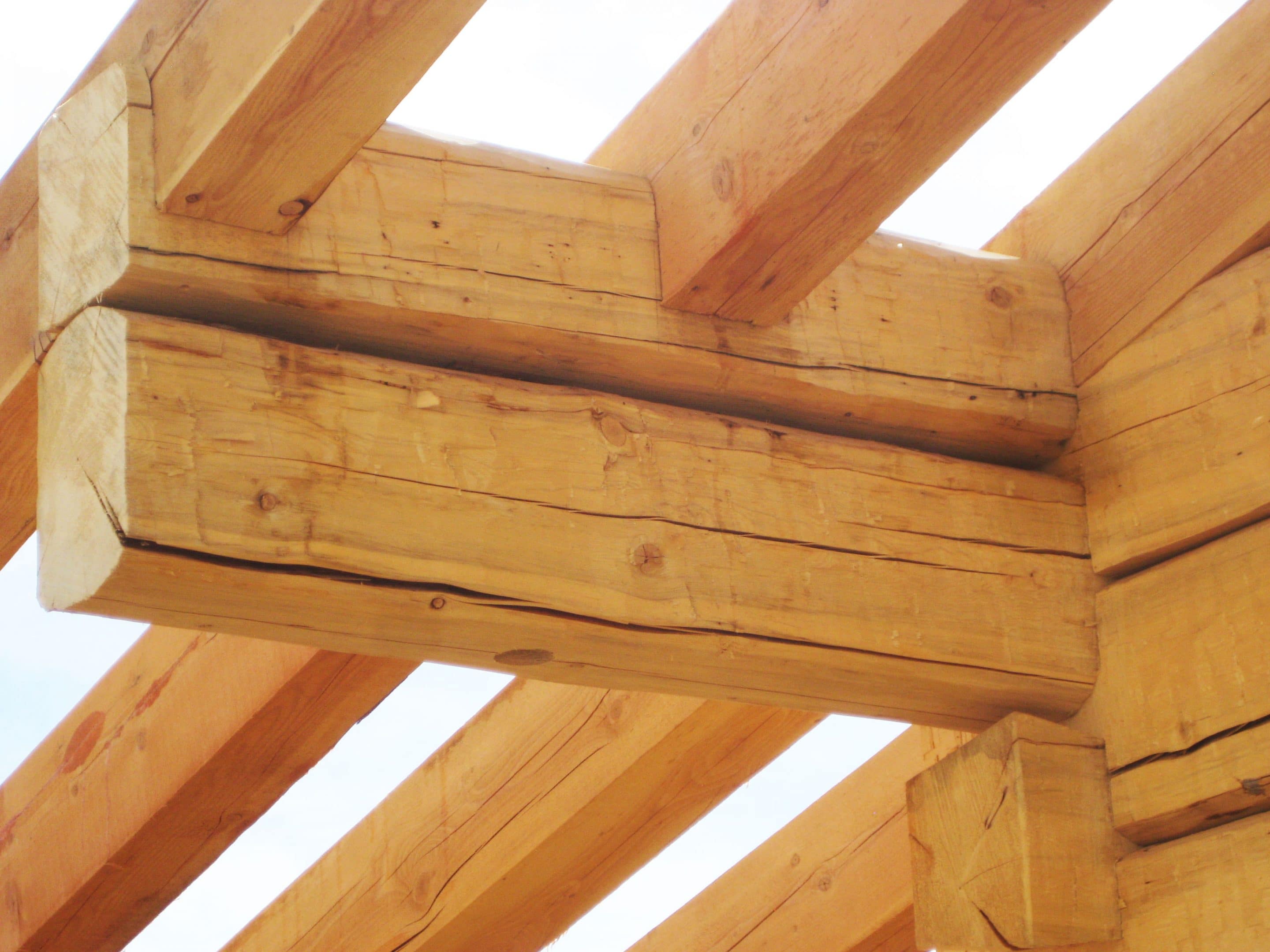 timber frame homes in colorado — exposed hand-cut beam and rafter joinery in a finished great room