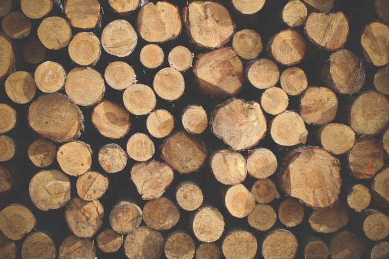 Log selection affects the energy efficiency of a finished log home