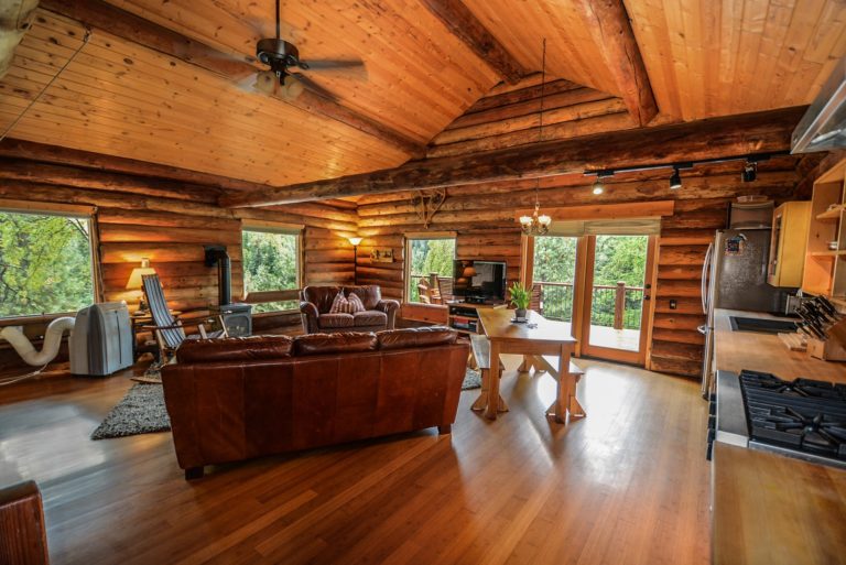Threats log homes face from insects, moisture, and settling