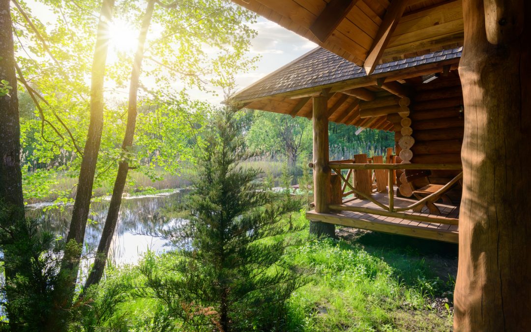 Energy Efficiency and Log Homes