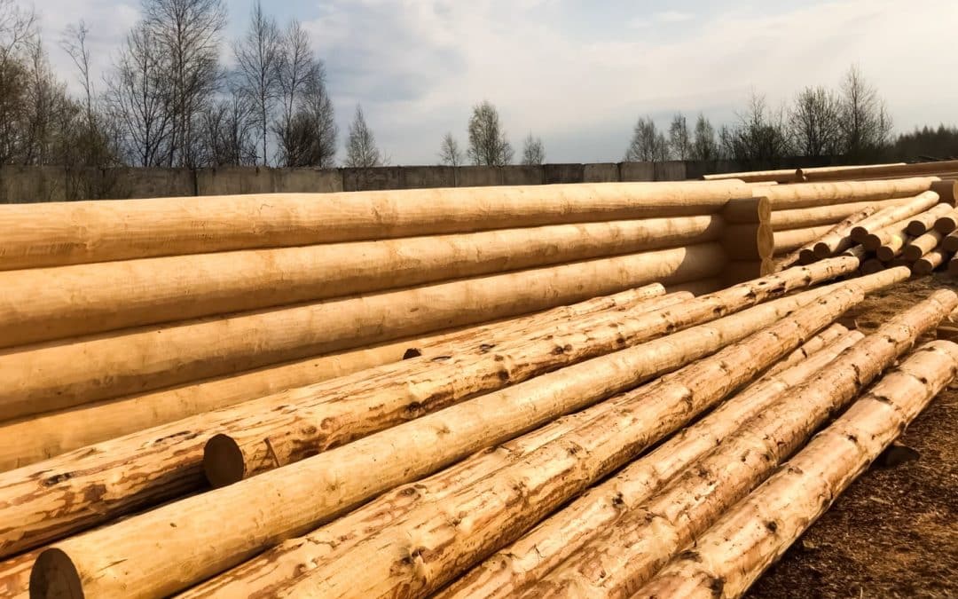 What’s the Best Type of Wood for a Log Home?