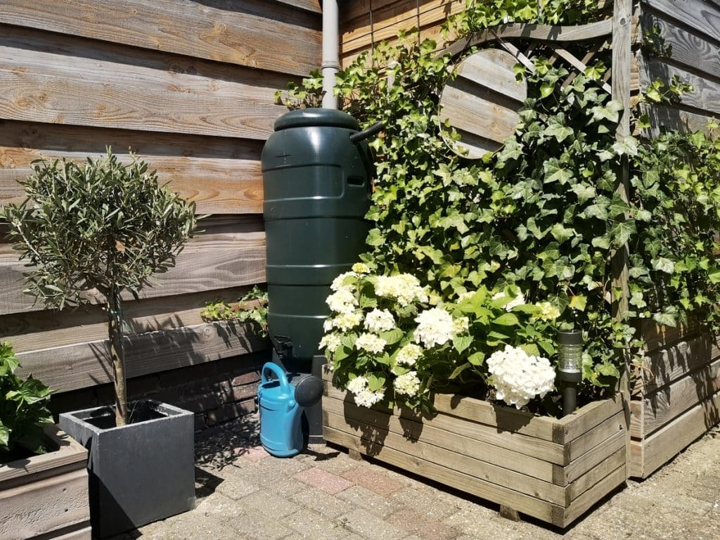 Barrel Catching Rain to Prevent Stormwater Runoff