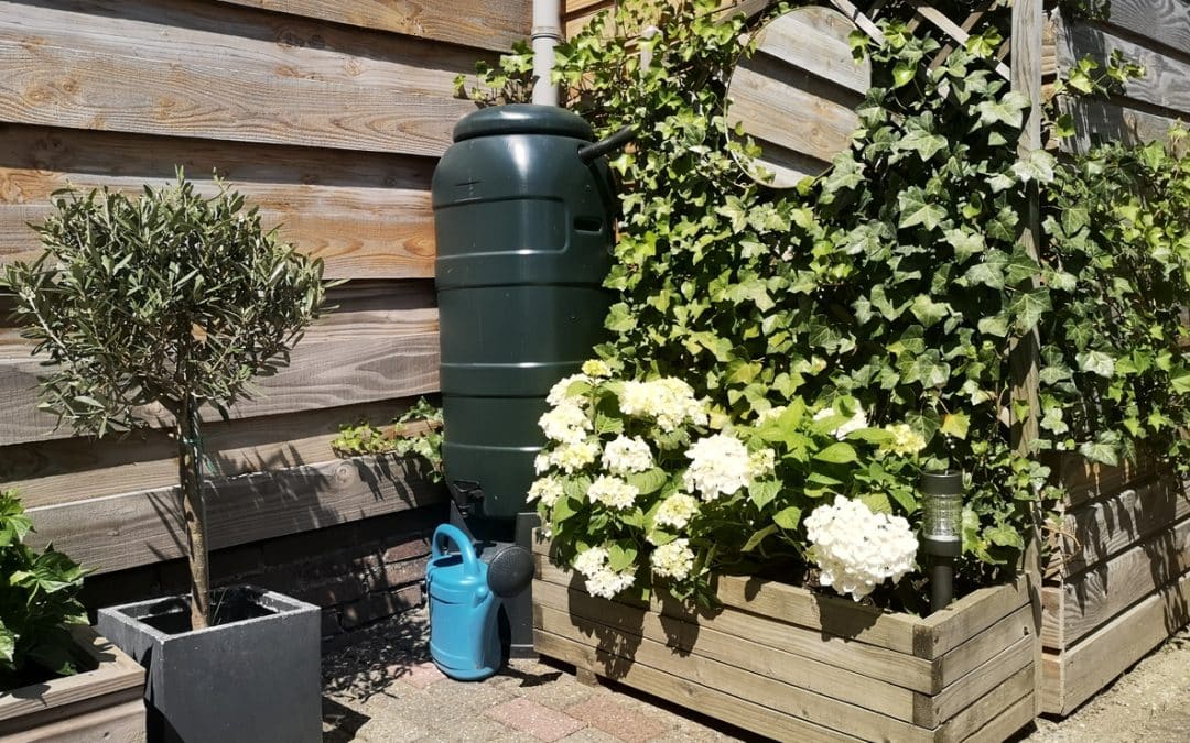 How to Manage Stormwater Runoff for Your Log Home