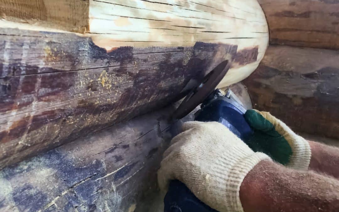 7 Tips for Treating Your Log Home’s Exterior