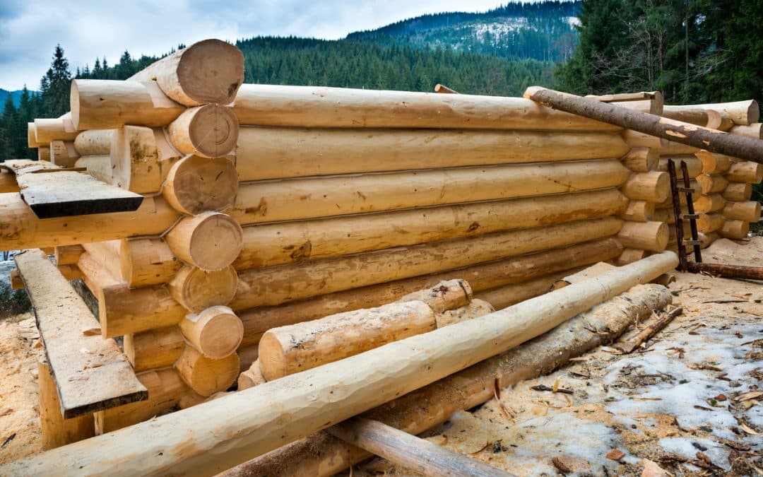 Is It Better to Use Dried Logs or Green Wood When Building a Log Home?