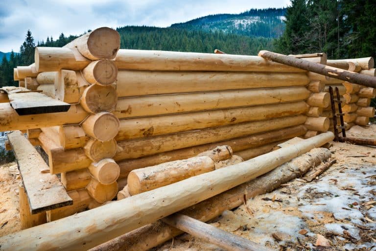 Log Home Construction Using Dried Logs