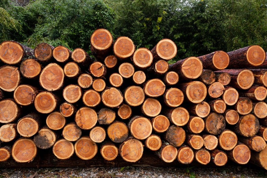 Full-diameter handcrafted logs with hand-scribed saddle notch corners on a custom log home