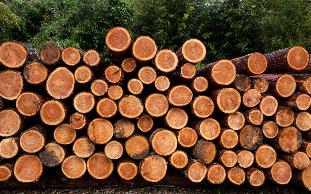 Machine-Milled or Handcrafted Logs: Which is Best for Log Homes?