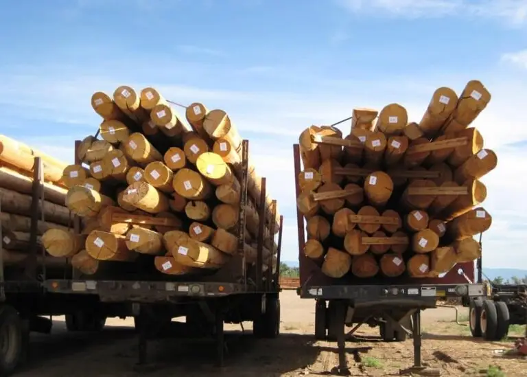 Custom log home under construction by Frontier Log Homes general contractor — photo 28