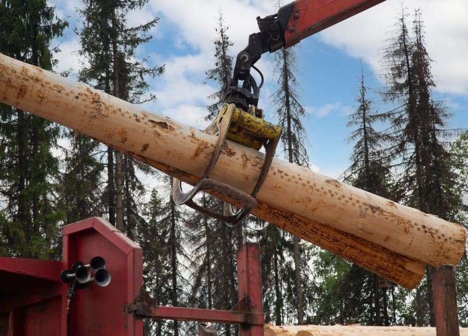 Post and Beam vs. Timber Frame: Key Differences