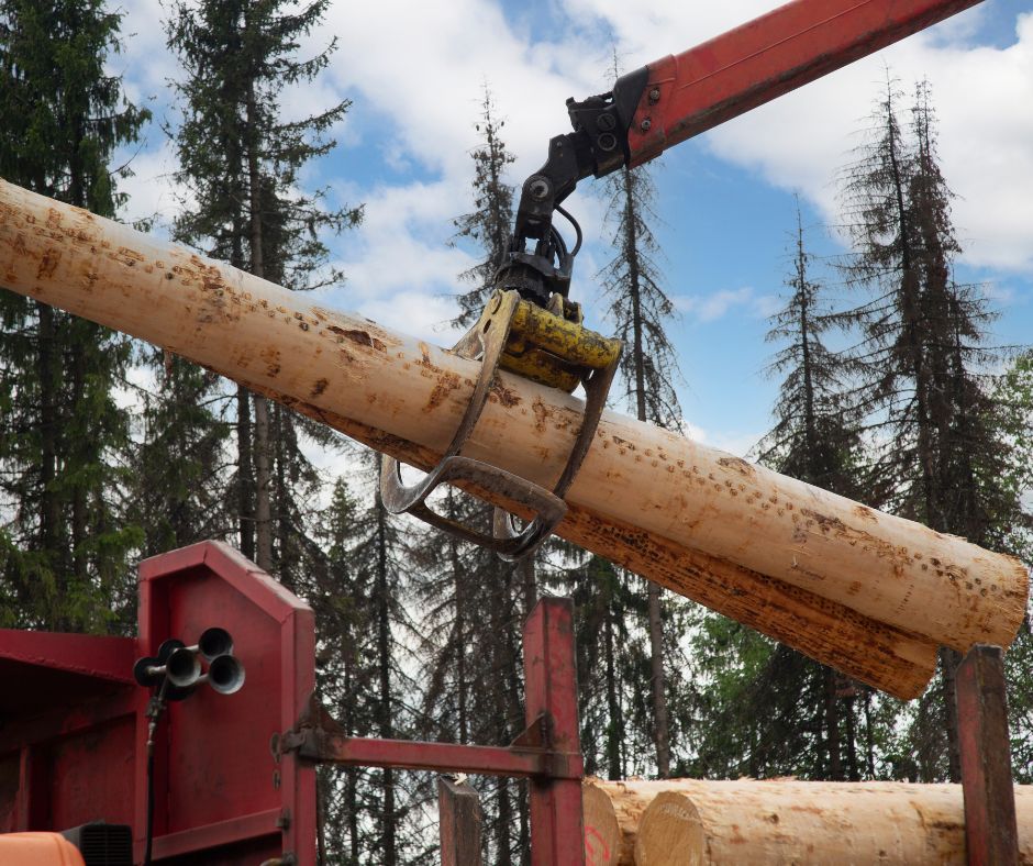 timber-frame-vs-post-and-beam-construction