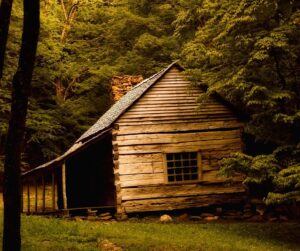 A century-old cabin still standing, evidence of good log selection