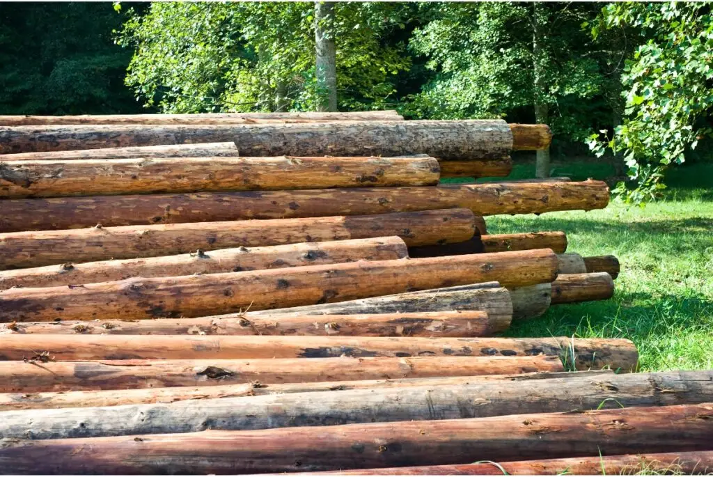 Building a Log Home Following Local Building Codes
