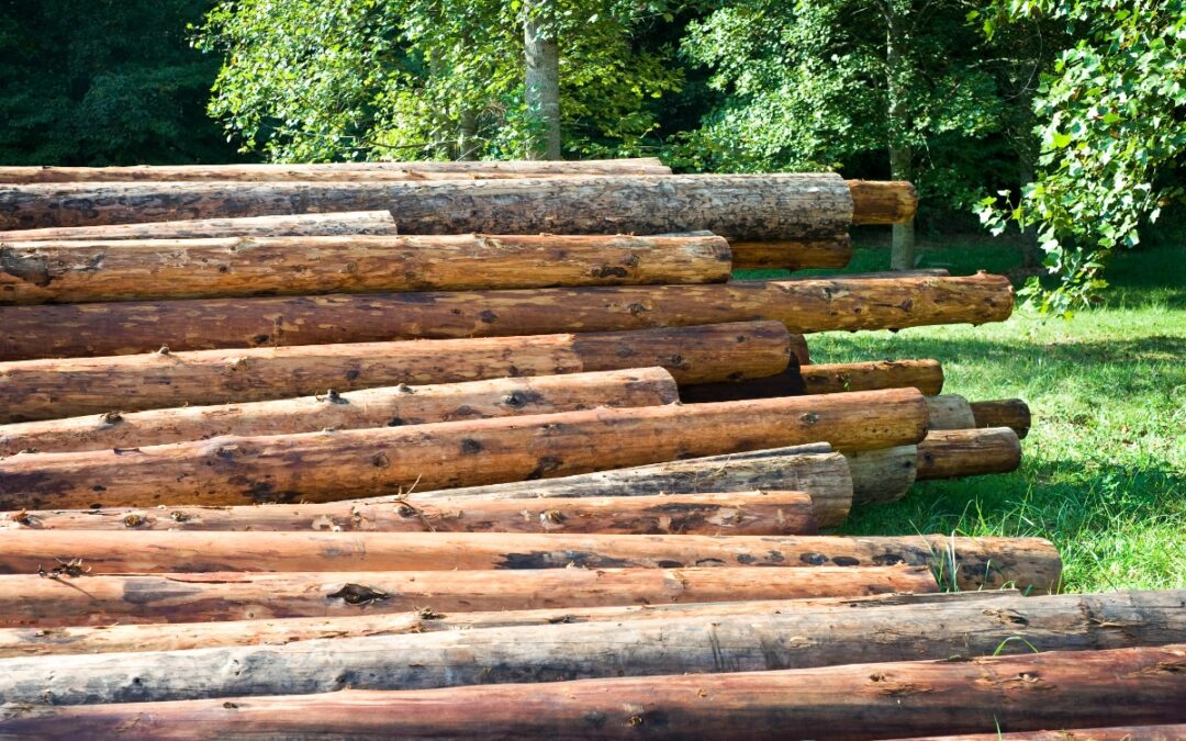 Navigating Building Codes for Your Log Cabin: A Comprehensive Guide